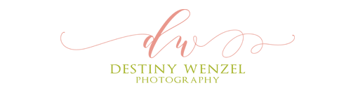 Destiny Wenzel Photography logo